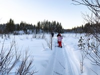 thumbnail_snowshoeing_tour.jpg