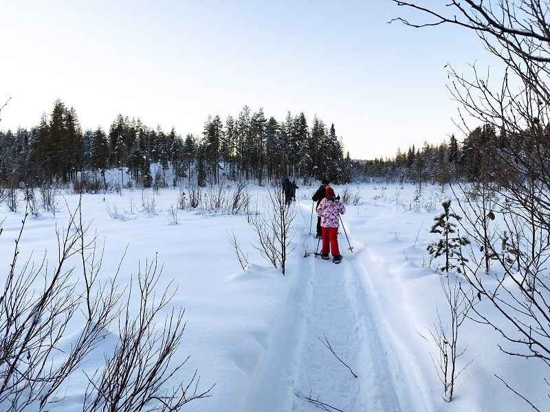 Snowshoeing tour.jpg